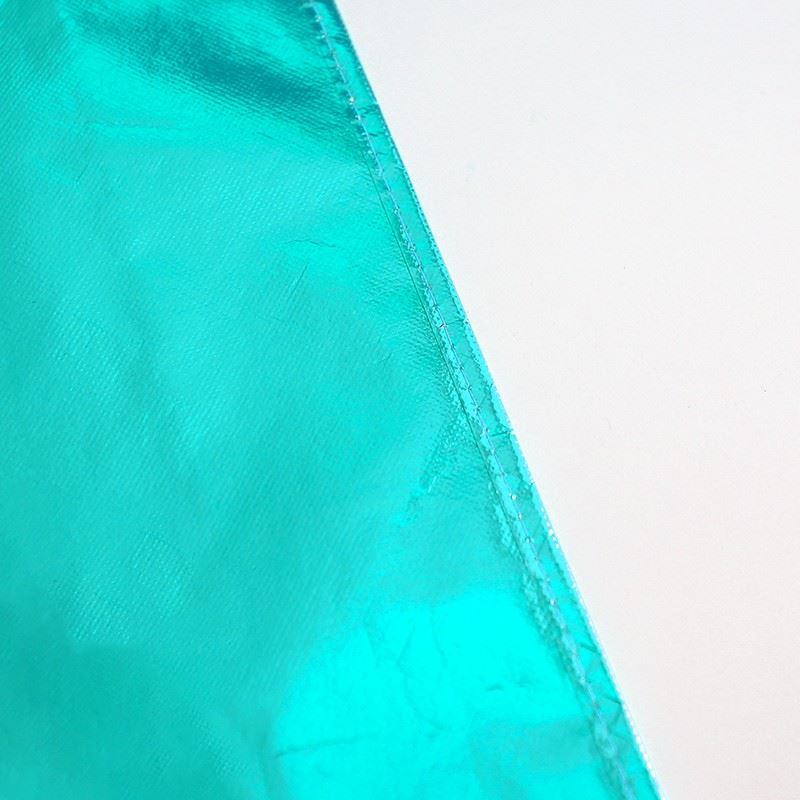 nice Plain Non Woven Bag