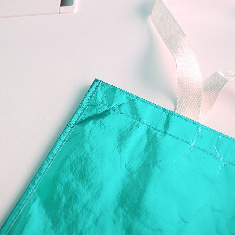 the Plain Non Woven Bag