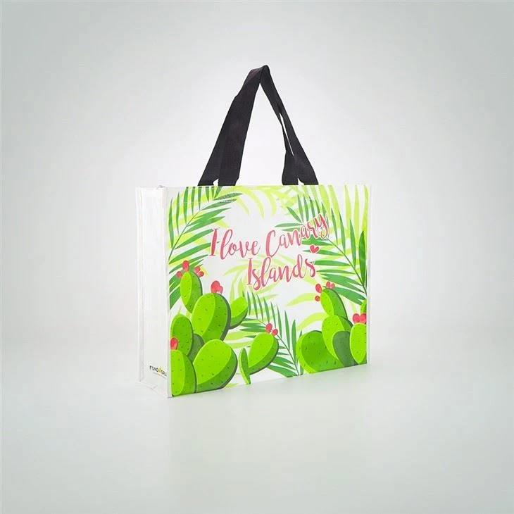 Cute Reusable Shopping Bag