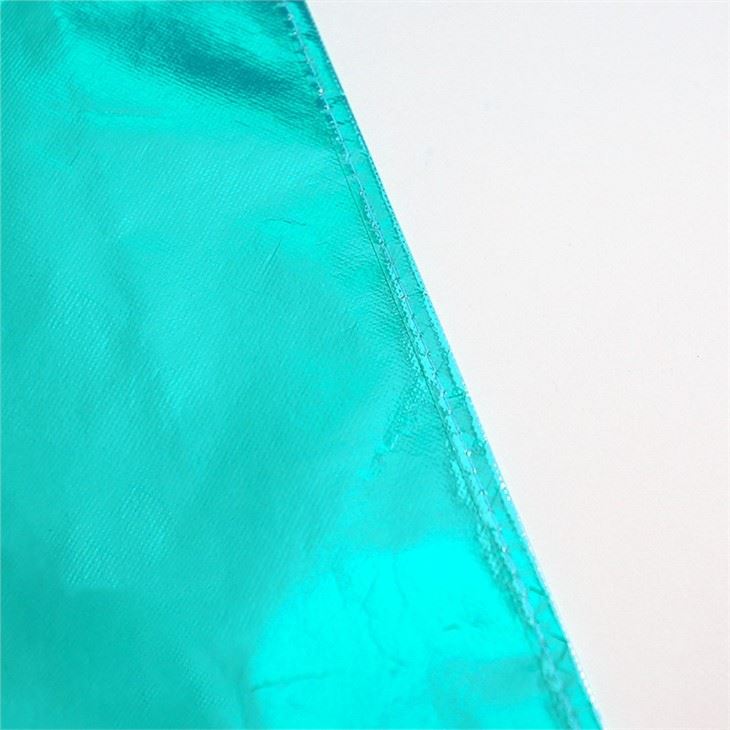 nice Plain Non Woven Bag